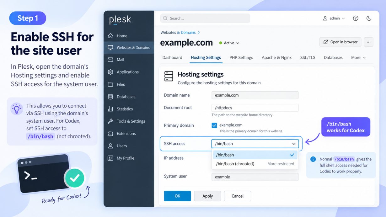 Plesk hosting settings with SSH access set to /bin/bash