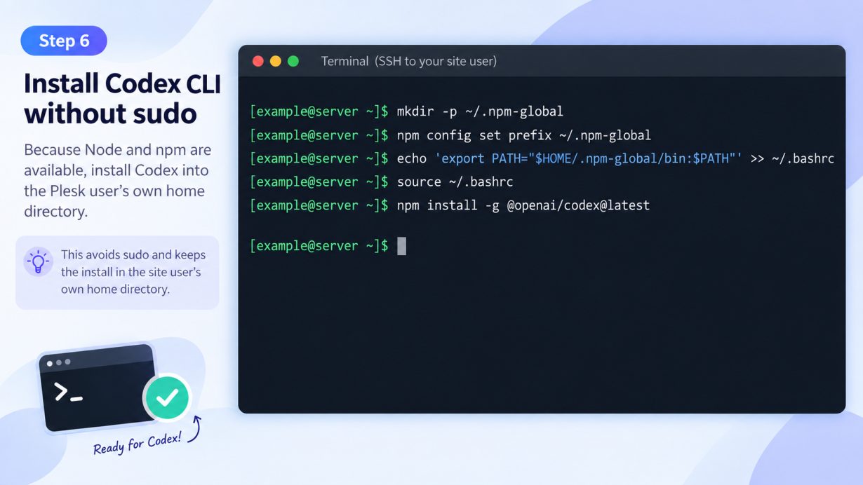 Terminal showing Codex CLI installation commands without sudo